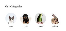 Domestic animals shop - CSS Template by Nicepage