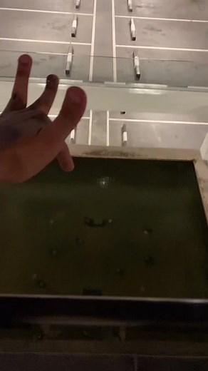 فاشنستا الافنيوز على TikTok