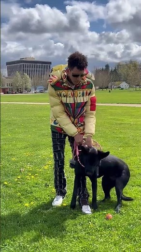 A Technique That Changes Your Dog Forever.