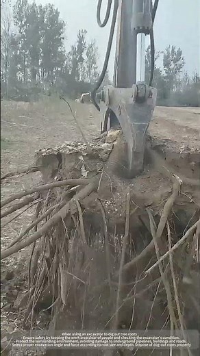 Mechanically Digging Tree Roots !