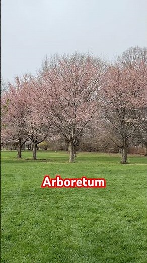 Cherry Blossoms & More at the Arboretum | Royal Botanical Gardens | Hamilton