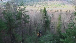 Running now on WAGM! Interested in the Mechanized Logging Operations Program? Recruiting for summer 2020 class is now underway! Learn more at http://maineloggers.com/mechanized-logging-operations-program/ | PLC of the Northeast - Professional Loggers