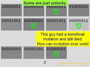 How Evolution REALLY Works, Part I