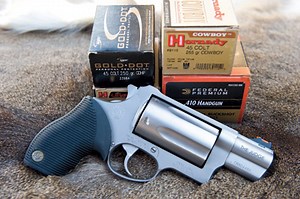 Taurus Public Defender - Handguns