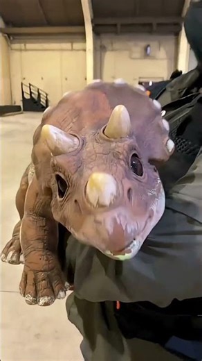 Small to big animals transformation!