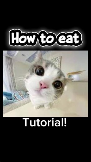 working tutorial 100% real #CapCut #cat #fyp #tutorials