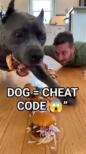 DOG vs HUMAN 🐶🍔 Pulled Pork Slider Challenge! #challenge #funny