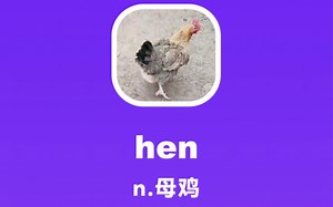 hen：母鸡