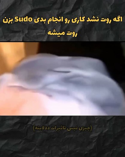 Web/App Developer🐴 | ‎خخخحخخ‎ | Instagram