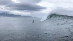 Hawaii : une session foil sur le North Shore - Surf-Report