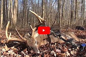 Bowhunter Bags Massive, 140-inch Ohio 6-Point Whitetail on Film