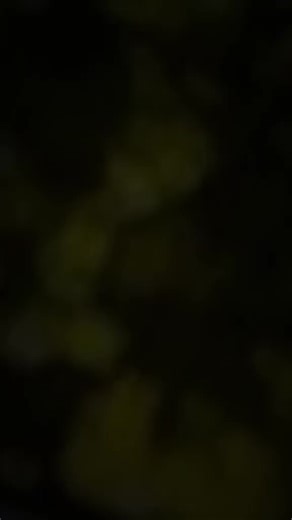 ❤️‍🩹🌺 বেঈমান ভালোবাসা🌺❤️‍🩹 (@onik_islam_007)’s videos with original sound - MAMUN T 20