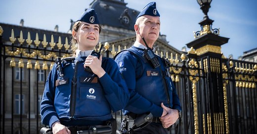 Agent(e) de sécurisation | Jobpol