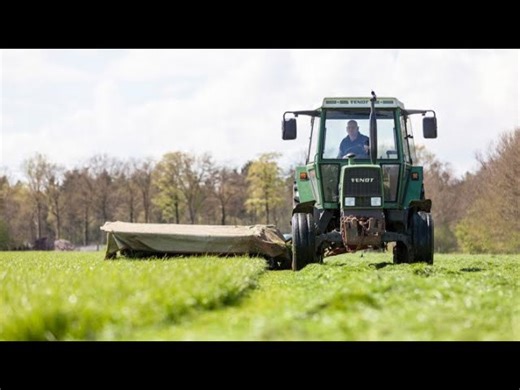 How the Netherlands is revolutionizing global food production: Lessons for a sustainable future