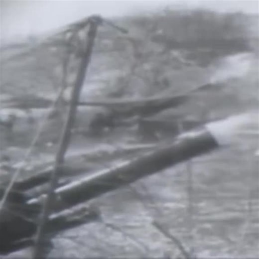 Brasil na Segunda Guerra Mundial: A Luta e a História