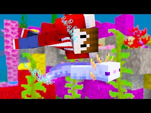 Was können unsere neuen Axolotl in Minecraft Bedrock | Minecraft Bedrock Guide #81 | LarsLP