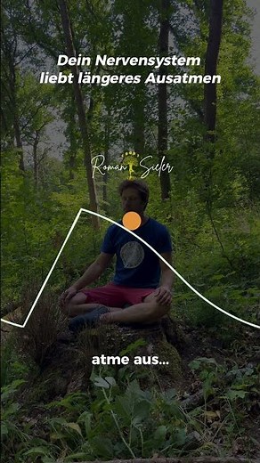 Diese Atemtechnik beruhigt viele sofort 🌬️ #breathwork #nervensystem #entspannung