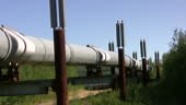 Looking down a long length of the Trans-Alaska oil pipeline.