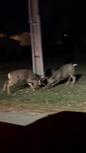 2.2K views · 239 reactions | Life in Moffat County comes with some pretty incredible views 歷癩 | Country Living Realty | Facebook