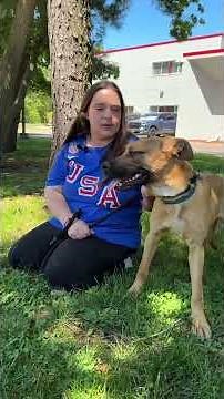 Adopt Regal | Animal Orphanage | Dogs & Cats for Adoption | #aonj