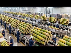 What Really Happens Inside a Sugar Factory? | From Sugarcane to Sugar 😲(AI Video)