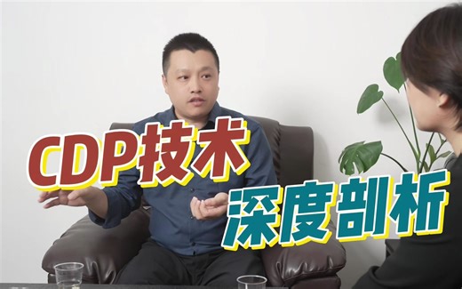 CDP技术深度解析：资源、成本与数据安全的博弈