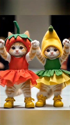 Ultimate Cat Dance Compilation – Cute, Funny & Full of Energy!”