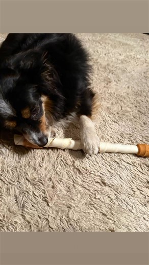 Jenell Farley on Reels