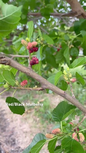 April energy 🌿🧹✨. I’m feeling whimsy