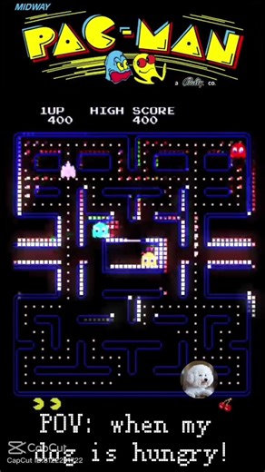 Pac Man Game