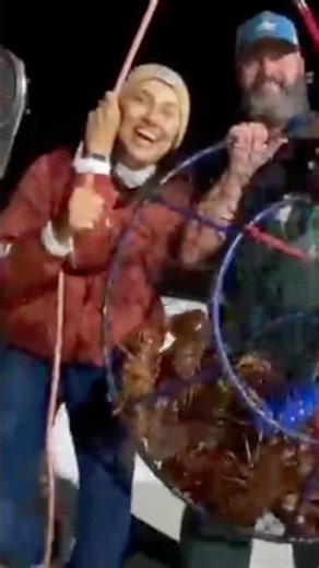 Epic Lobster Hoop Netting on the Amigo! Christmas Feast Haul & Lobster Dance 🦞🎄