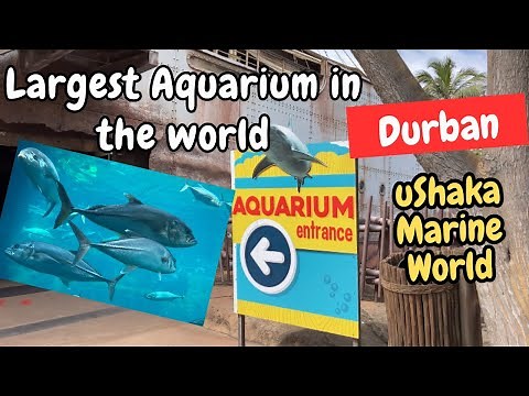 uShaka Marine World | The largest Aquarium in Africa | Durban | South Africa