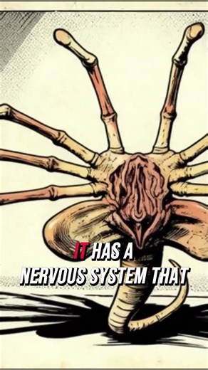 The Truth Behind the Ovomorph: The Alien Egg That Knows You’re There #shorts