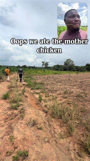 Farming Our Chickens on 235 Acres