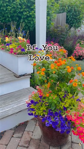 5.4K views · 3.2K reactions | If you love these 4 things Perennial...