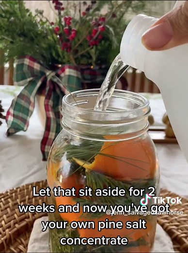 DIY Pine Sol for a Clean Home