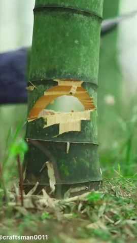 Engineering Skills in Action