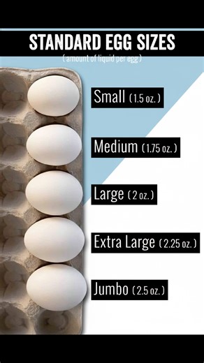 12K views · 79 reactions | STANDARD EGG SIZES Eggs are sorted by...