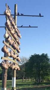 2.9K views · 48 reactions | Spring is the best time of the year to...