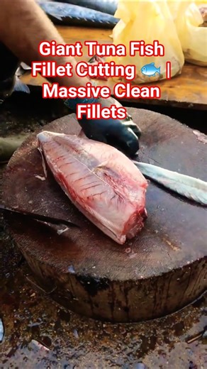 Giant Tuna Fish Fillet Cutting 🐟 #TunaFish #FishFillet #SeafoodShorts #BigFish #KnifeSkills