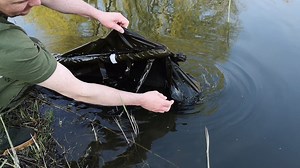 SONIK's Roy Nijkamp putting our SK-TEK Floating Weighsling to good use 🎣 See the whole SK-TEK carp care range here ⬇️ https://www.soniksports.com/product-category/carp/carp-care/ #soniksports #sonik #sktekcarpcare #teamsonik #roynijkamp #carp #fishing | SONIK Sports