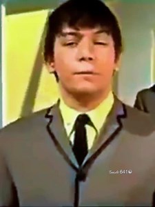 𝙏𝙝𝙚 𝘼𝙣𝙞𝙢𝙖𝙡𝙨 - 𝙃𝙤𝙪𝙨𝙚 𝙊𝙛 𝙏𝙝𝙚 𝙍𝙞𝙨𝙞𝙣𝙜 𝙎𝙪𝙣 | Abdi Gusti