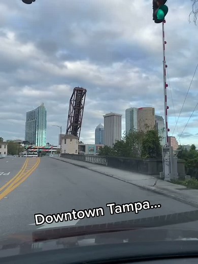 Exploring Area Code 813 in Downtown Tampa