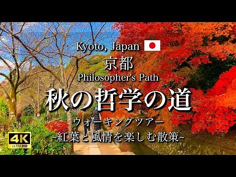 Philosopher's Path Walking Tour in Kyoto, Japan | Autumn Leaves and Beautiful Scenery [4K]