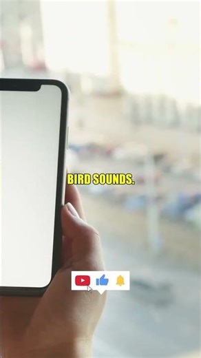 This HIDDEN signal could save your life from a DISASTER