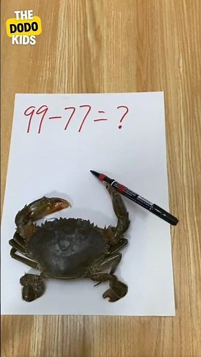 "Crab Solves Math Like a Genius 🦀🧠📐" ‪@The_dodokids‬