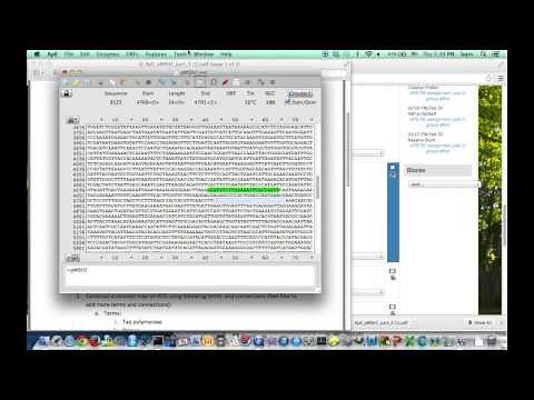 Analyze primers on a plasmid using ApE