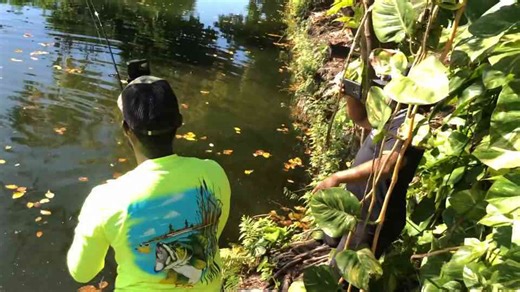 Wading deep for a monster fish – Florida gone wild