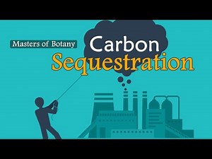 Carbon Sequestration: Definition, Types and Ways
