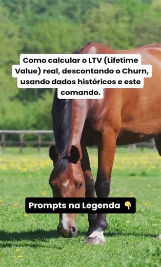 Calculando o LTV real @GuilhermeeBenuto @hypex.cortes #HypexCortes #MudarPraLuaHX